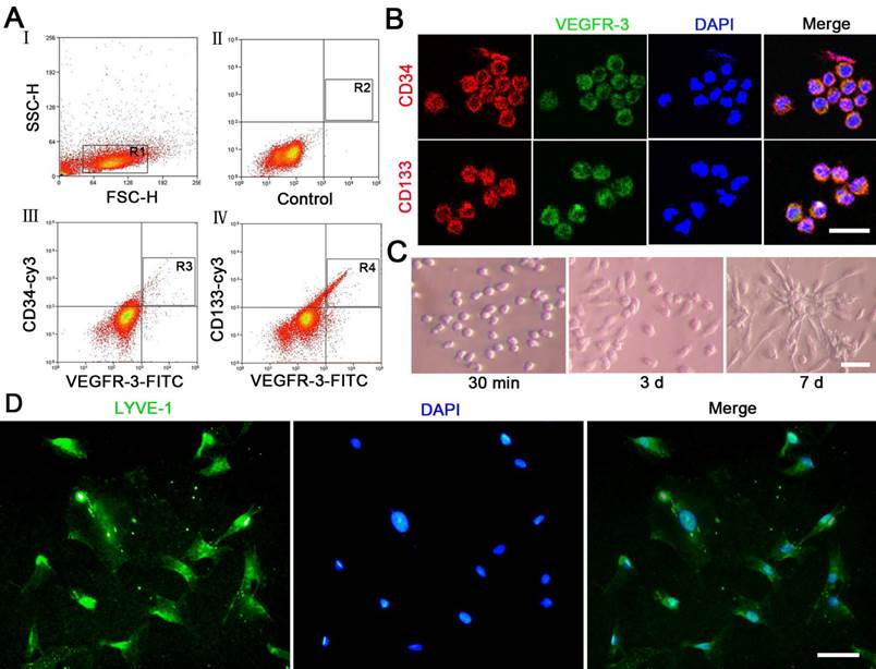 Int J Biol Sci Image