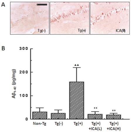 Int J Biol Sci Image