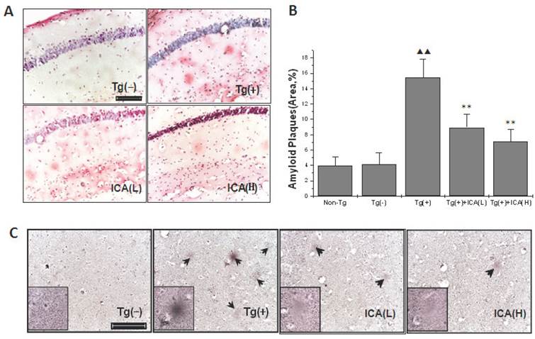 Int J Biol Sci Image