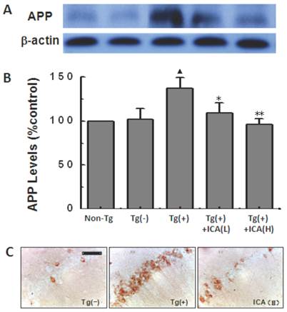 Int J Biol Sci Image