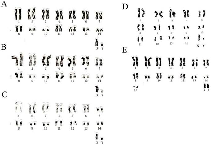 Int J Biol Sci Image