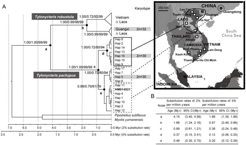 Int J Biol Sci Image