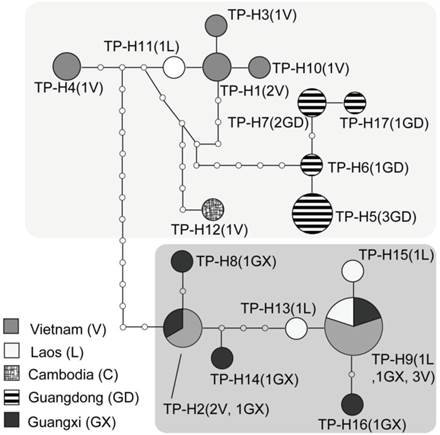 Int J Biol Sci Image