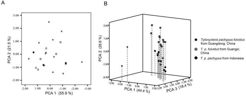 Int J Biol Sci Image