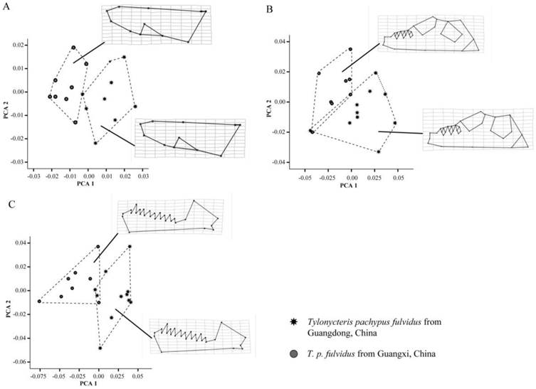 Int J Biol Sci Image