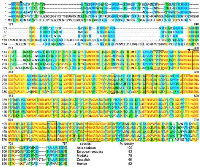 Int J Biol Sci Image