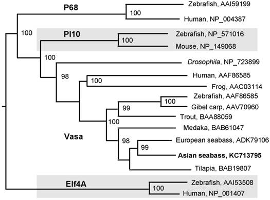 Int J Biol Sci Image