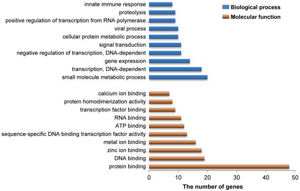 Int J Biol Sci Image