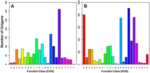 Int J Biol Sci Image