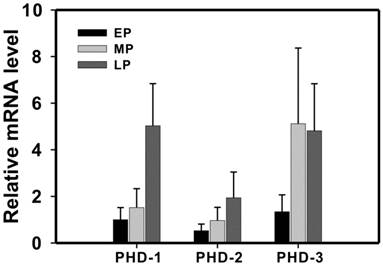 Int J Biol Sci Image