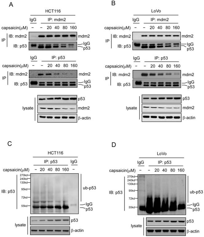 Int J Biol Sci Image