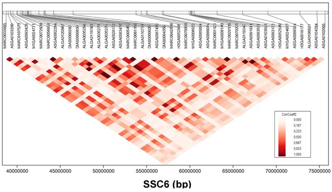 Int J Biol Sci Image