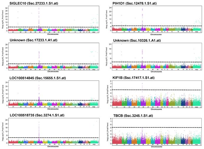 Int J Biol Sci Image