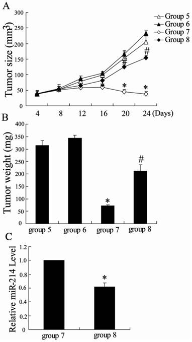 Int J Biol Sci Image