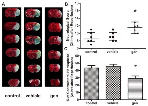 Int J Biol Sci Image