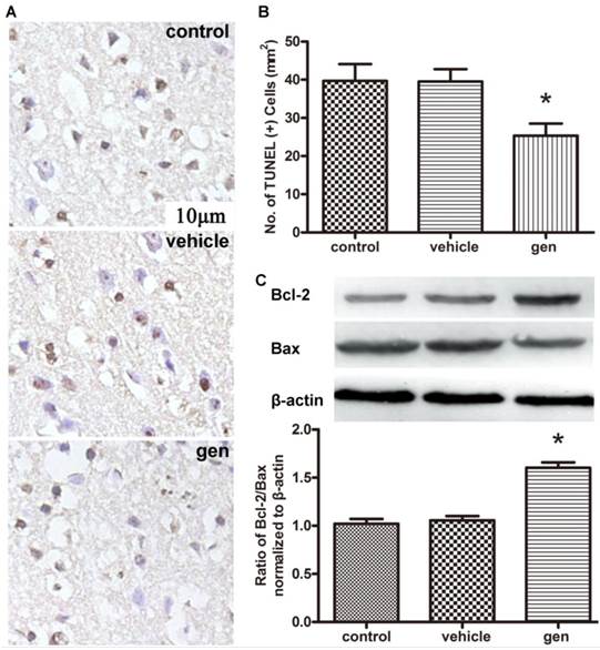 Int J Biol Sci Image