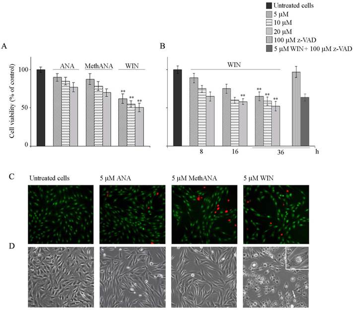 Int J Biol Sci Image