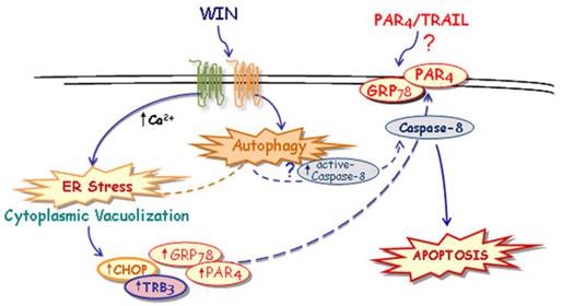 Int J Biol Sci Image