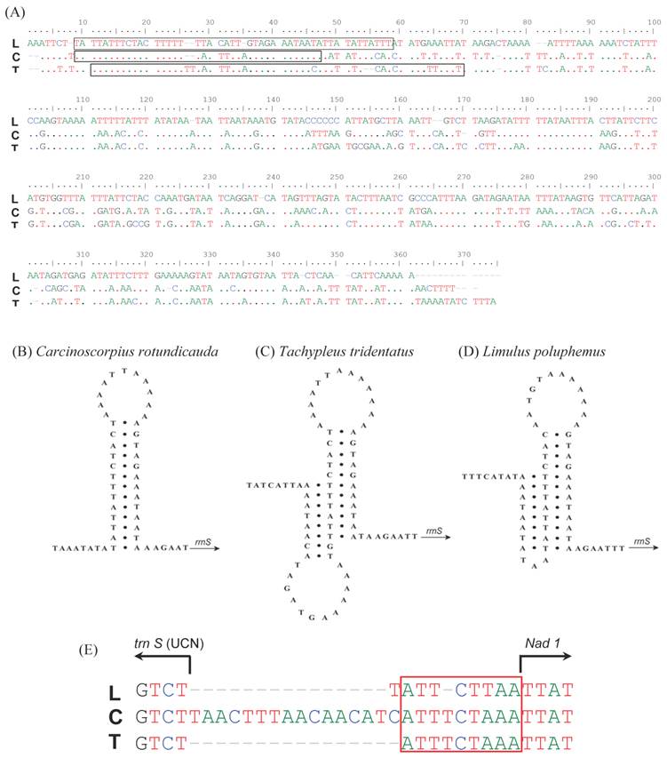 Int J Biol Sci Image