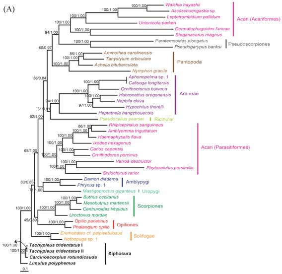 Int J Biol Sci Image