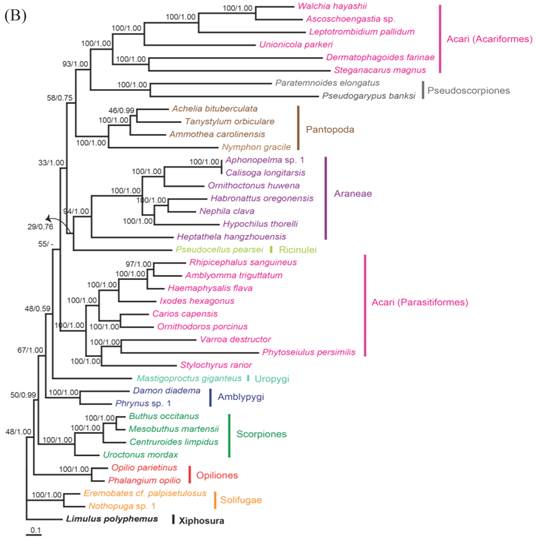 Int J Biol Sci Image