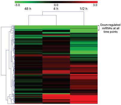 Int J Biol Sci Image