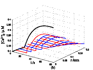 Int J Biol Sci Image