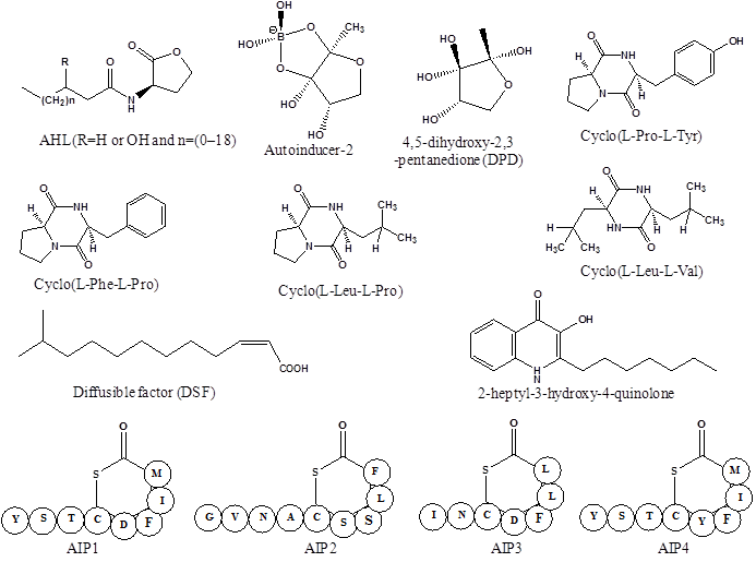 Int J Biol Sci Image