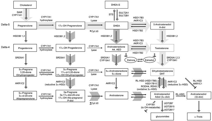 Int J Biol Sci Image