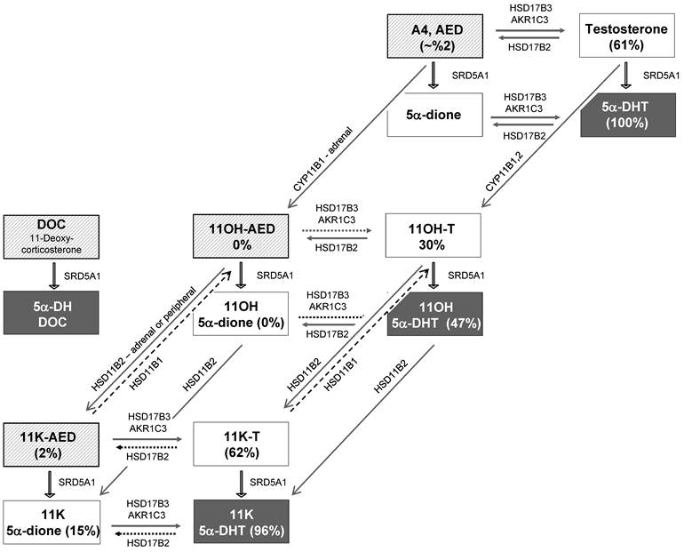 Int J Biol Sci Image