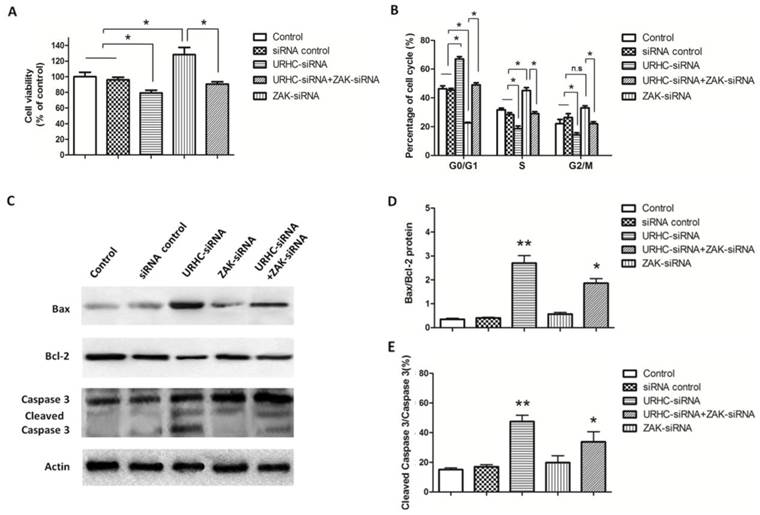 Int J Biol Sci Image