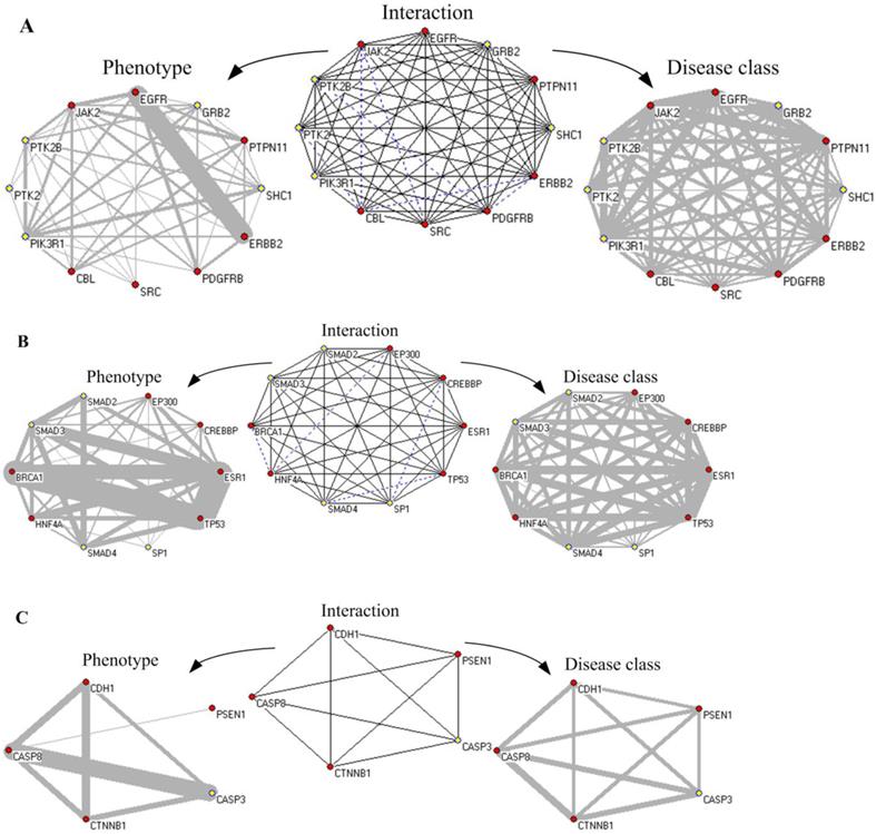 Int J Biol Sci Image