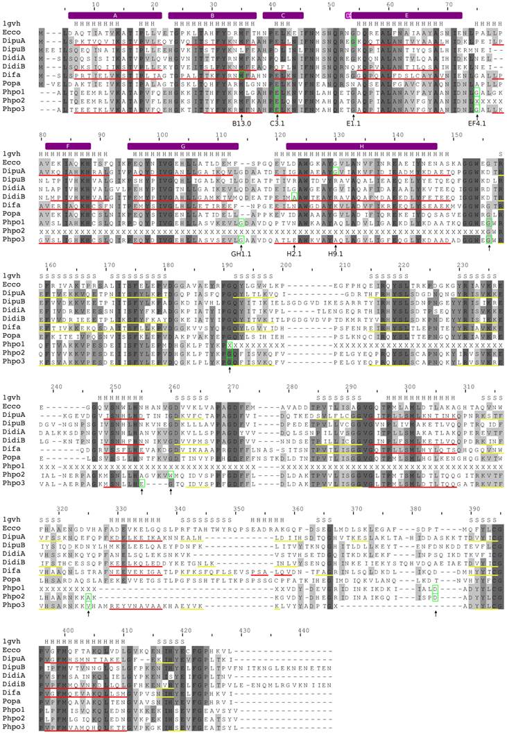 Int J Biol Sci Image