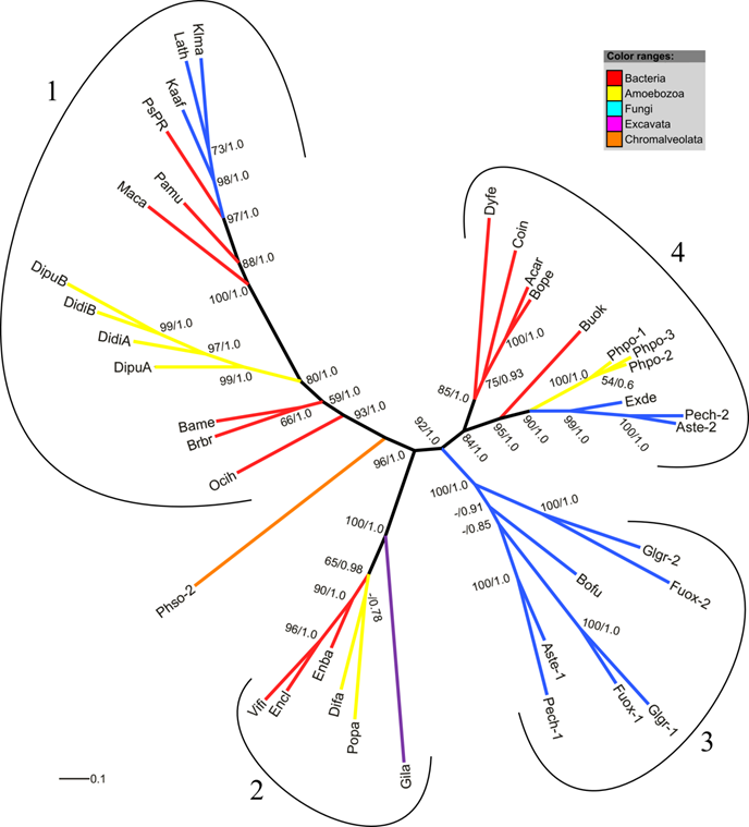 Int J Biol Sci Image