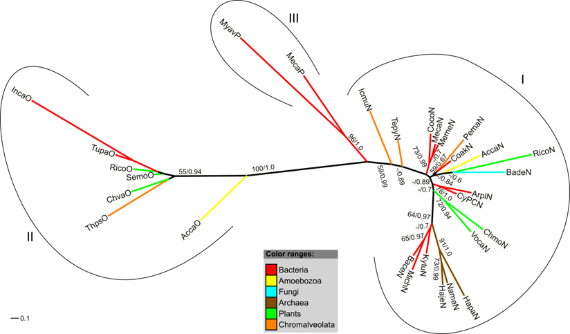 Int J Biol Sci Image