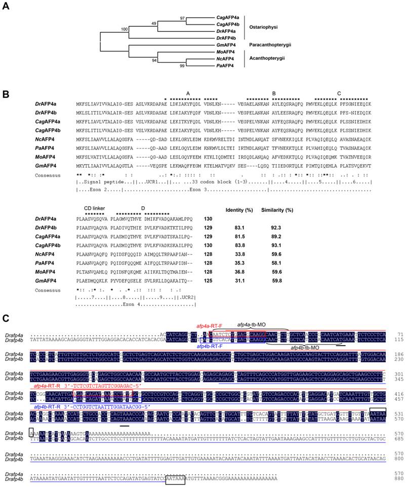 Int J Biol Sci Image