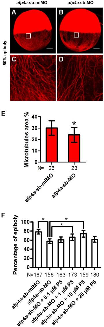 Int J Biol Sci Image