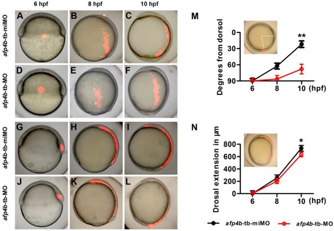 Int J Biol Sci Image