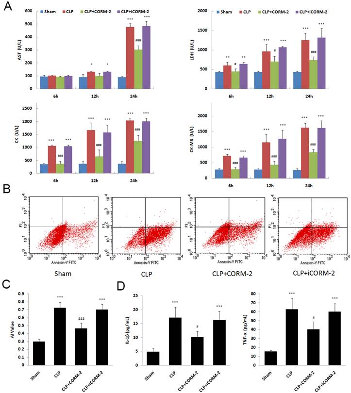 Int J Biol Sci Image