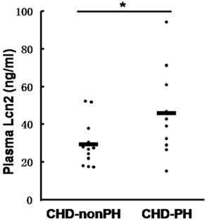 Int J Biol Sci Image