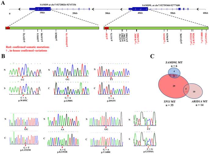 Int J Biol Sci Image