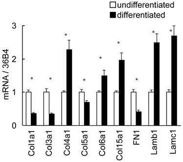 Int J Biol Sci Image