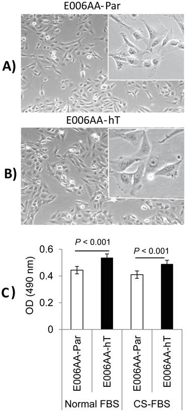 Int J Biol Sci Image