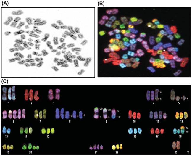 Int J Biol Sci Image