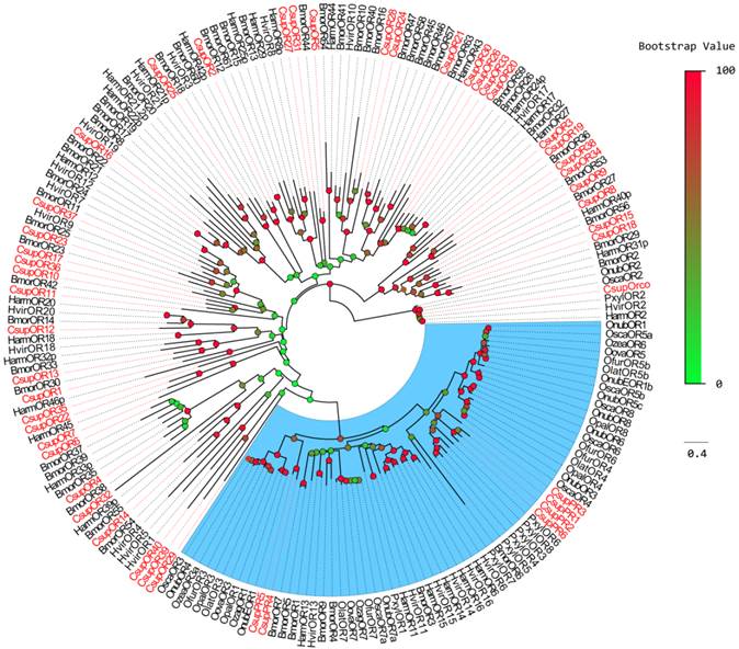 Int J Biol Sci Image