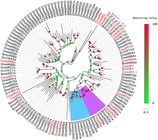 Int J Biol Sci Image