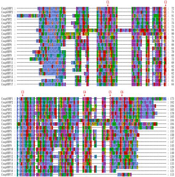 Int J Biol Sci Image