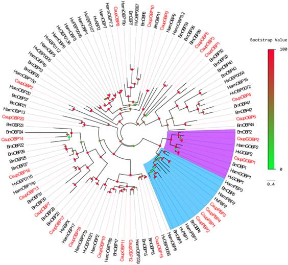 Int J Biol Sci Image