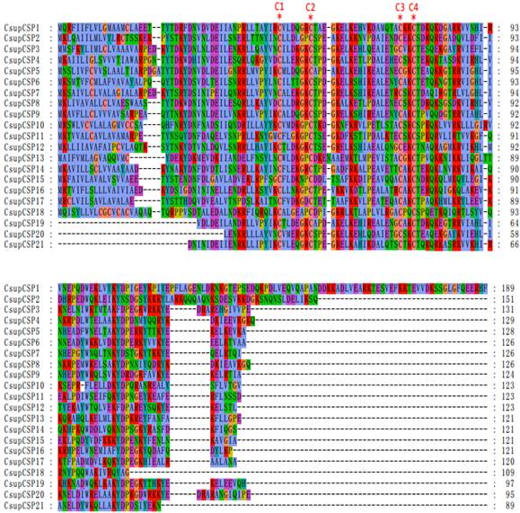 Int J Biol Sci Image