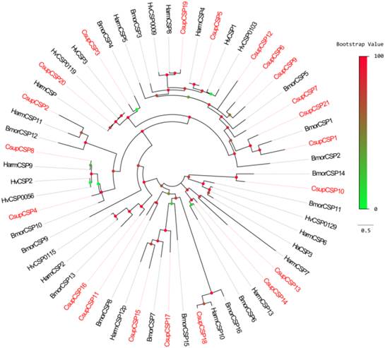 Int J Biol Sci Image